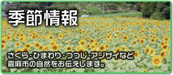 季節情報